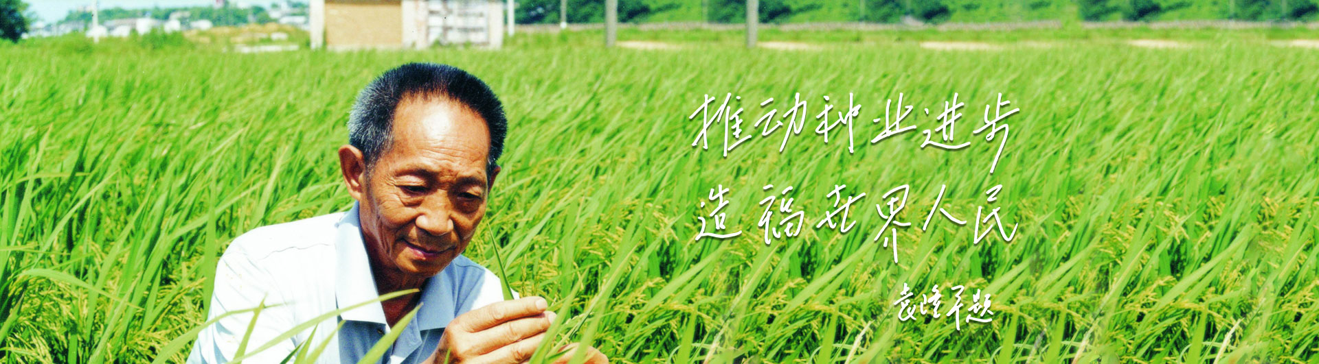 9999js金沙老品牌高科